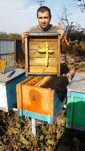 В Кривом Роге пчелы создали уникальный крест из воска