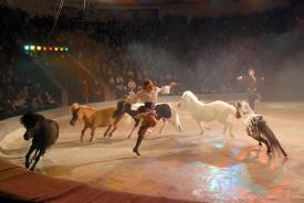Национальный цирк Украины представил новую программу