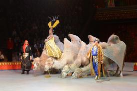 Новая программа Национального цирка Украины "Караван чудес"
