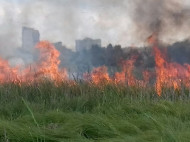 Огонь приближался к домам: в Харькове вспыхнул масштабный пожар (фото)