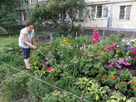 женщина поливает цветы возле дома