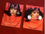 Пародия популярной блогерши на фото Ирины Шейк попала на обложку журнала Vogue (фото)