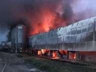 Дым видно за несколько километров: под Киевом вспыхнул масштабный пожар на птицефабрике (фото)