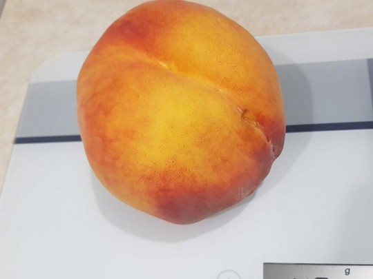 Персик-гигант