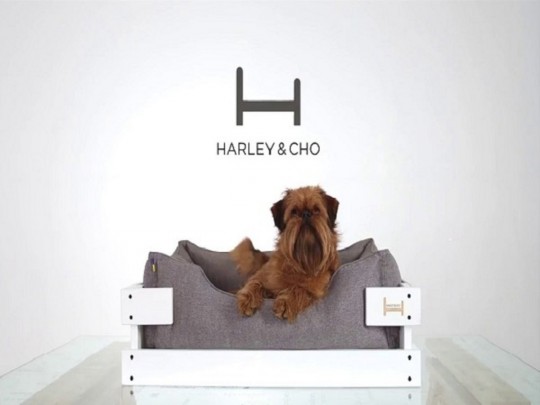 Кровати и миски для животных от HarleyandCho: с заботой о здоровье и комфорте