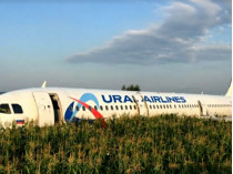 Самолет «Уральских авиалиний» в кукурузе