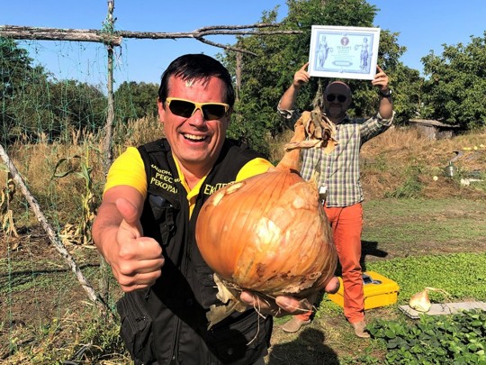В Украине вырастили рекордную луковицу&nbsp;— весом почти 2 килограмма (фото)