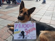 По всей Украине проходят марши в защиту животных (фото, видео)