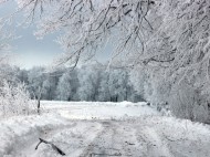 "Монстр с востока" принесет зимой в Европу самые сильные морозы за последние 30 лет