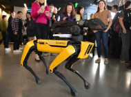 Американцы начали поставки удивительных роботов-собак (видео)