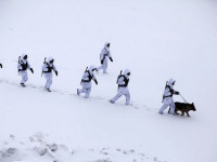 военные
