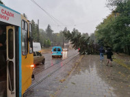 Гроза и ветер в Украине оставили без света более сотни населенных пунктов (фото)
