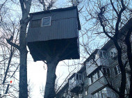Из жизни «пернатых»-2: мужчина построил на дереве огромный скворечник и устраивает в нём вечеринки (фото)
