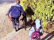 Душераздирающее видео: сотрудник службы отлова убил собаку на глазах у ее маленькой хозяйки 