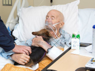 В хосписе выполнили последнюю просьбу ветерана, желавшего попрощаться со своей собакой: трогательные фото