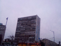 Мурал