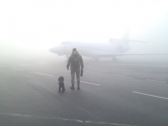 Туман в аэропорту