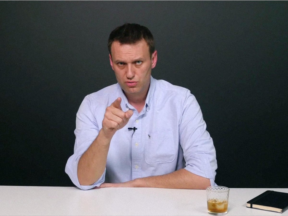 Политический деятель навальный. Навальный 2001. Навальный фото.