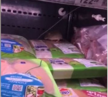 Мышь в супермаркете Броваров