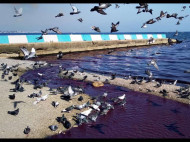 В Черное море стекают фиолетовые «реки»: в сети показали видео нового ЧП в Крыму