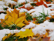 Ранней зимы не будет: синоптики рассказали о погоде в ноябре