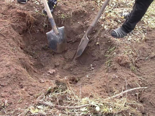 Забили до смерти и закопали за селом: на Херсонщине мужчину «проучили» за кражу 200 гривен (фото, видео)