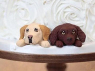 Невеста заказала торт, украшенный милой собачкой, а получила «дохлого дикобраза», раздавленного между слоями (фото)