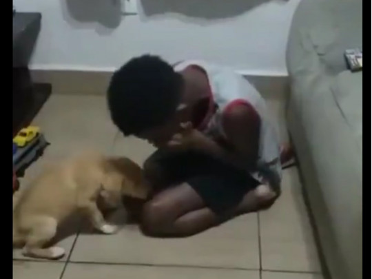 Мальчик и щенок