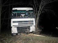 Возле спорткомплекса "Чайка" под Киевом фура снесла дерево: эксклюзивные фото с места аварии