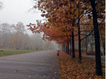 Осень туман