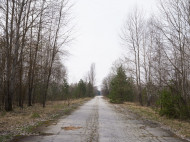 Беларусь закрывает границу с Украиной вдоль Чернобыльской зоны: стала известна причина
