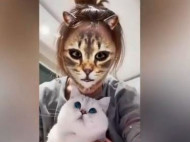 Кошки с ужасом отреагировали на хозяев в кошачьем обличье: в сеть выложили смешное видео