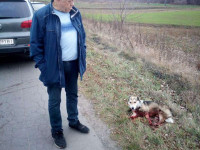 Владимир Байдич и замученная собака