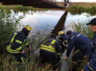 Трагедия на Днепропетровщине: в реке нашли тело 9-летней девочки (фото)