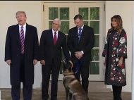 Дональд Трамп чествовал пса-героя, но собаке больше понравился вице-президент (видео)