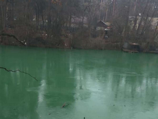 Зеленая вода в озере