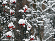 Холод и снег: синоптики рассказали, какой будет погода в ближайшие дни