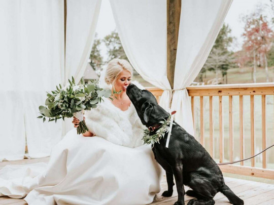 Невеста с собакой