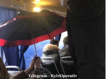Пассажир с зонтом