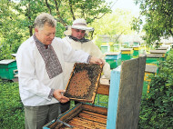 Пчелы помогли волынской семье пережить депрессивные 90-е, а сейчас пчеловодство стало их успешным бизнесом