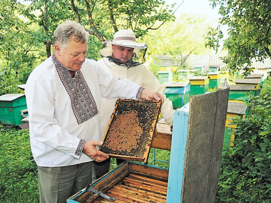 Пчеловоды Шотик