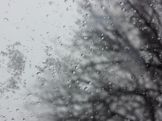 В ожидании снега: синоптики рассказали, как начнется зима