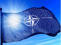 Пристайко возложил на НАТО ответственность за войну в Грузии и Украине 