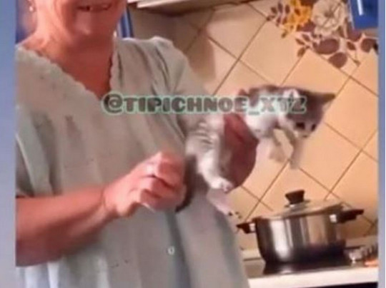 Бабушка мучает котенка