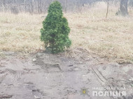 Появились шокирующие данные о мужчине, выбросившем памятник героям АТО на свалку под Киевом