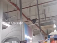 Обезьяна устроила переполох в харьковском супермаркете: в сеть попало видео