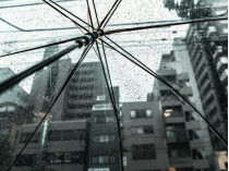 Выходные под зонтом: синоптики рассказали о погоде до конца недели