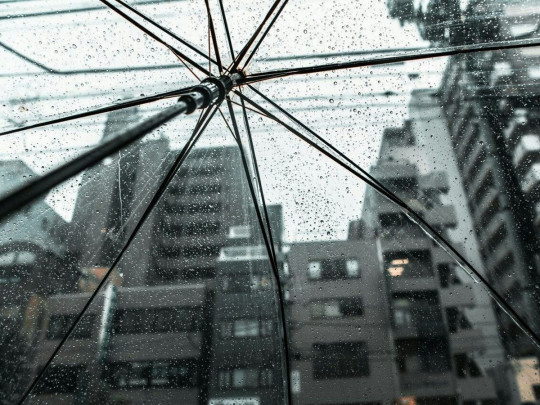 Выходные под зонтом: синоптики рассказали о погоде до конца недели