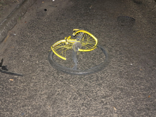 на Житомирской трассе погибли велосипедисты
