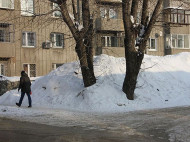 На Камчатке мужчина убил друга и сделал из него "снеговика"